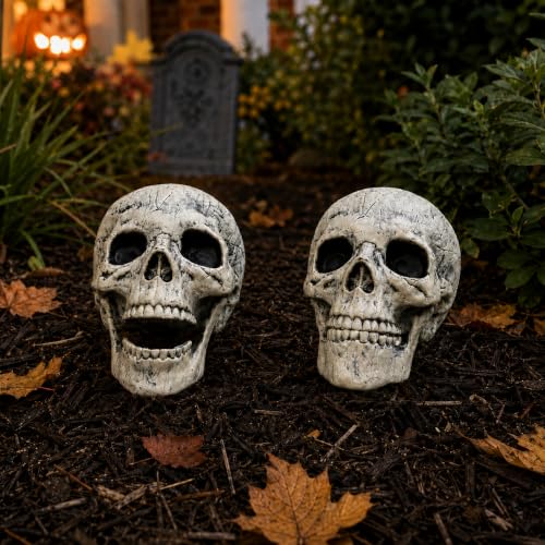 2 PC Realistic Skeleton Skull Halloween Decorations for Outdoor Indoor Yard Decor Graveyard Life Size (2 Skeleton Skull)