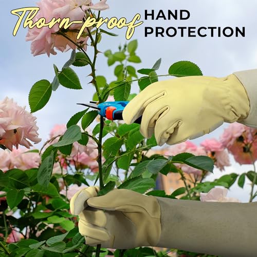 Rose Pruning Gloves for Men Women (Vanilla / X-Large (Pack of 1))