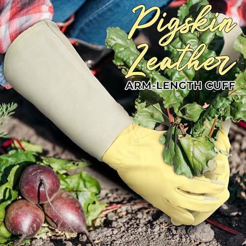 Rose Pruning Gloves for Men Women (Vanilla / X-Large (Pack of 1))