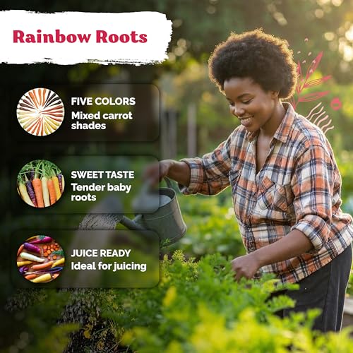 1 000 Rainbow Carrot Heirloom Vegetable Seeds for Planting