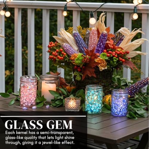 100 Glass Gem Indian Corn Seeds for Planting
