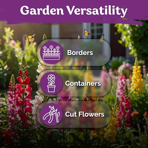 1 500 Tetra Mix Snapdragon Flower Seeds for Planting