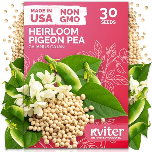 30 Guandules Pigeon Pea Heirloom Vegetable Seeds