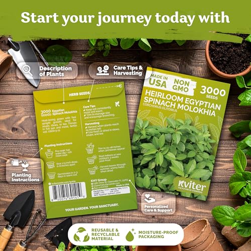 3 000 Egyptian Spinach Heirloom Vegetable Seeds