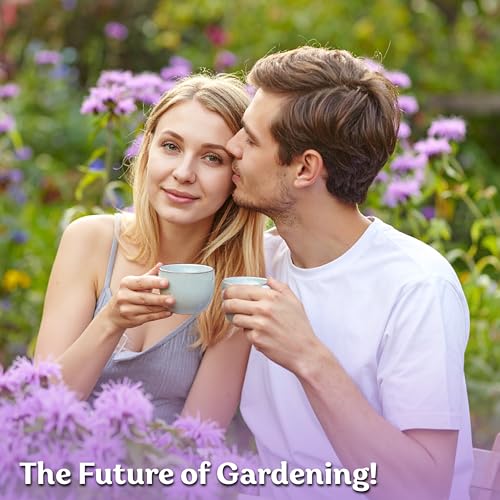 1 000 Wild Bergamot Heirloom Flower Seeds for Planting