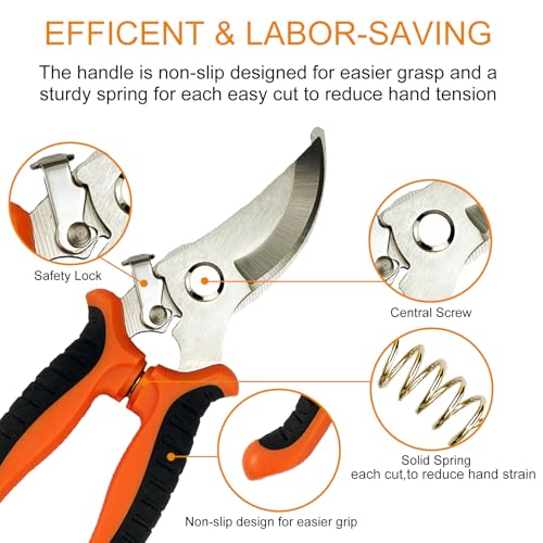 Pruning Shears
