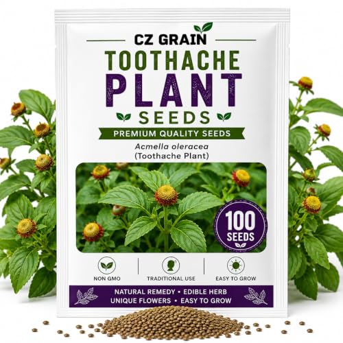 Toothache Plant Seeds for Planting (Toothache Plant)