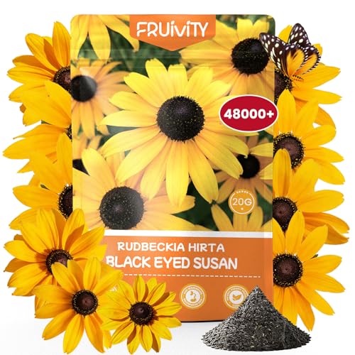 48000+ Black Eyed Susan Seeds for Planting