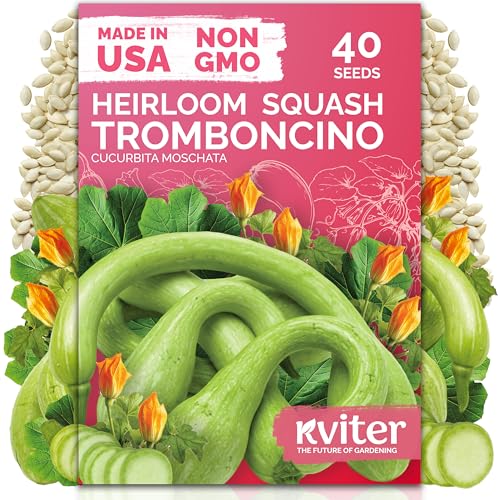 40 Tromboncino Squash Heirloom Vegetable Seeds