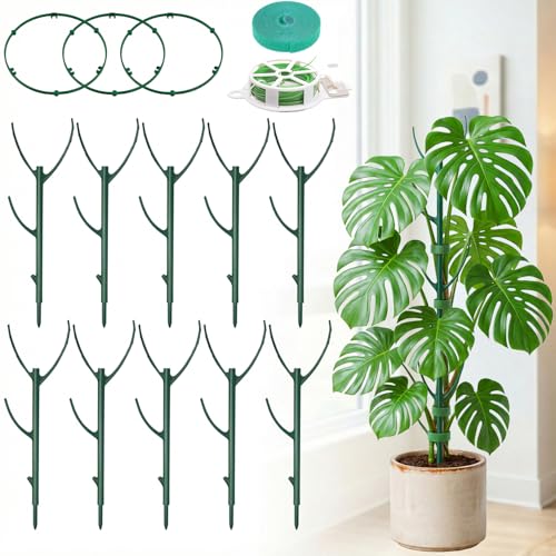 20 Pack Monstera Plant Support Stakes