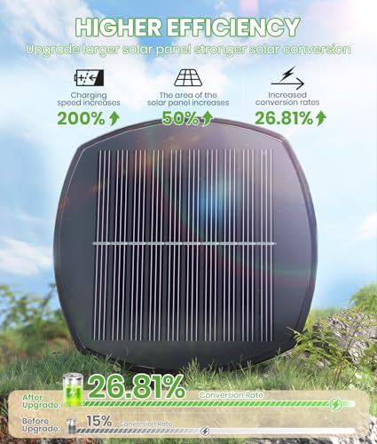 Solar Pathway Lights