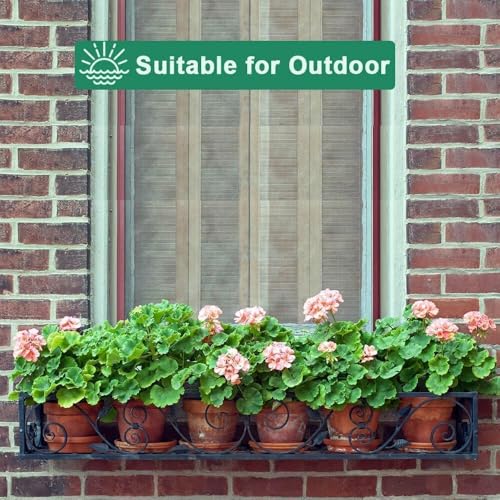 6 Inch Terracotta & Clay Pots for Plant with Saucer (Brown)