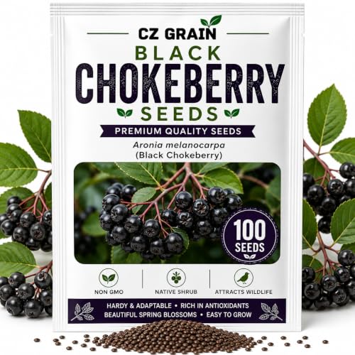 Black Chokeberry Seeds for Planting Native Shrub 100 Premium Seeds (White Flowers, Black Berries, Red Fall Foliage)