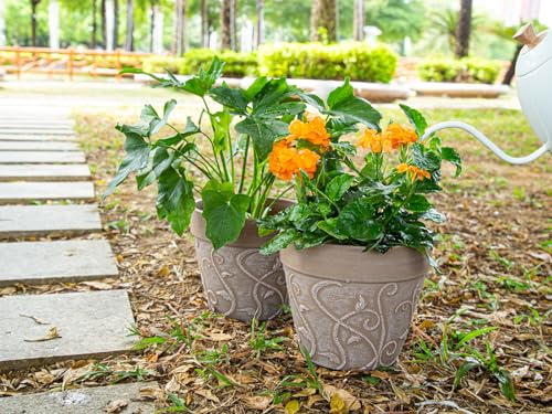 Plastic Plant Pots Indoor with Drainage & Saucer (Undecorated Pottery Color / 8 inch)