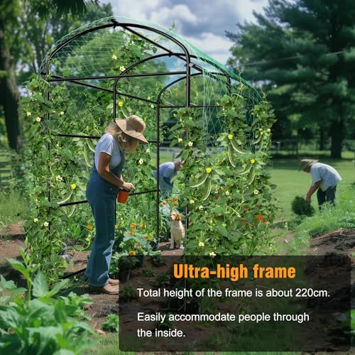 87inch Garden Trellis Arch (47*72*87inch)
