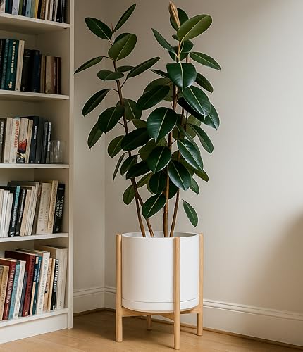Ceramic Pot with Natural Wood Stand (12 Inch / White Pot + Natural Stand)