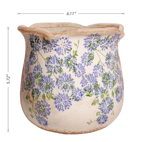 Ceramic Pots for Plants (Antique Blue Meadow)