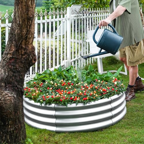 Galvanized Raised Garden Bed 2Pcs (4×4×1ft（2-Pack） / 1-silver)