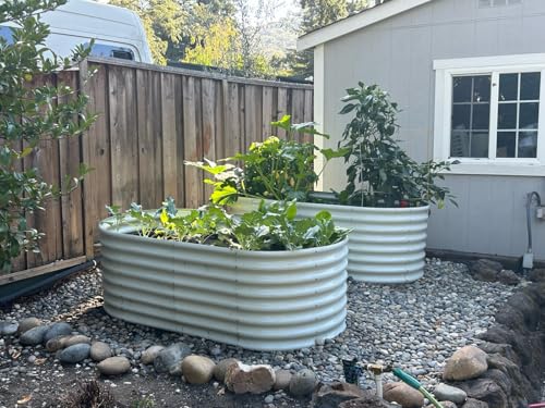 Anleolife 6x3x2ft Oval Deep Root Raised Garden Bed (Oval White / 6×3×2ft Tall)