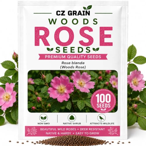 Woods Rose Seeds for Planting (Woods Rose)