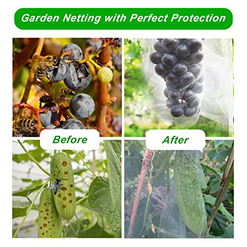 2 Pack 10X30FT Garden Netting (10X30FT-2pack)