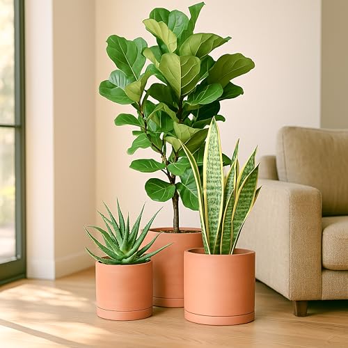 3 Pack Classic Terracotta Pots & Saucers (8+10+12 Inch / Terracotta)