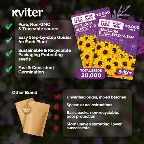 20 000 Black Eyed Susan Heirloom Flower Seeds for Planting