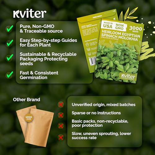 3 000 Egyptian Spinach Heirloom Vegetable Seeds