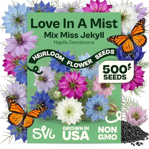 500 Mix Miss Jekyll Love in a Mist Heirloom Seeds Nigella damascena