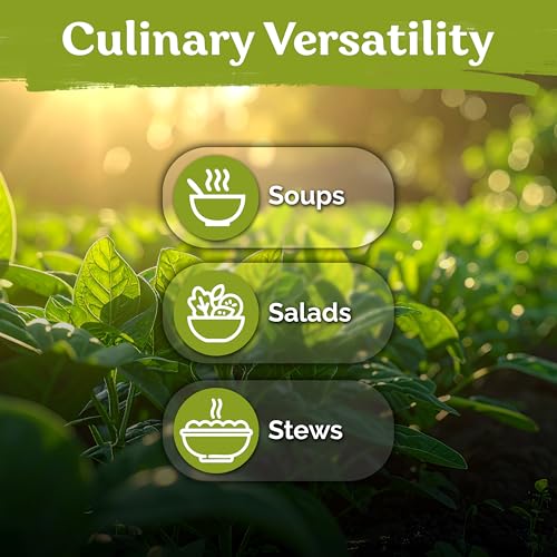 3 000 Egyptian Spinach Heirloom Vegetable Seeds