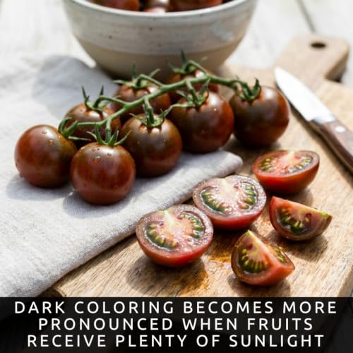 Black Pearl Tomato Seeds for Planting (Black Pearl Tomato)