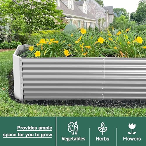 8×4×2 ft Galvanized Raised Garden Bed Kit (8×4×2ft（Rectangular） / 1-silver)