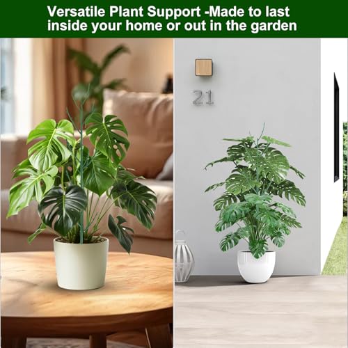 10 Pack Stackable Monstera Plant Support (Dark Green)