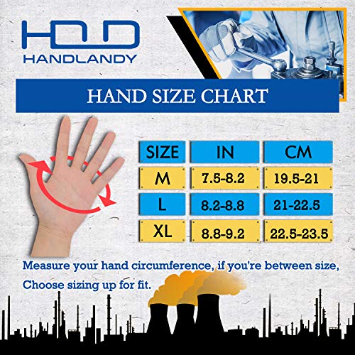 Work Gloves for Men & Women (Black & Blue (2 Pairs) / Medium)