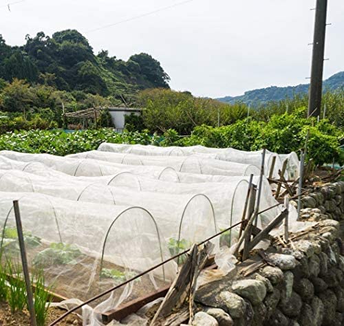 Garden Netting Bird Net 4x20Ft for Bug Protection (4'x20')