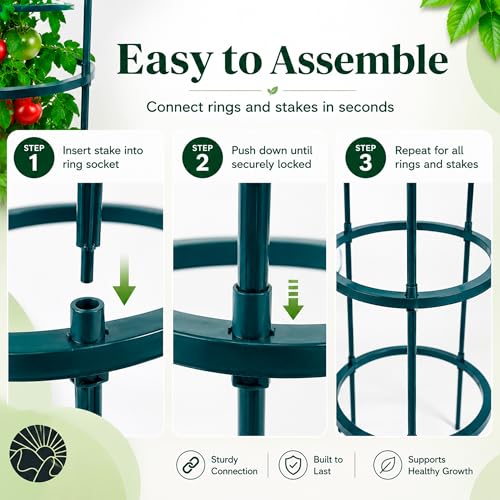 Tomato Cages Heavy Duty Garden Trellis for Raised Beds & Pots