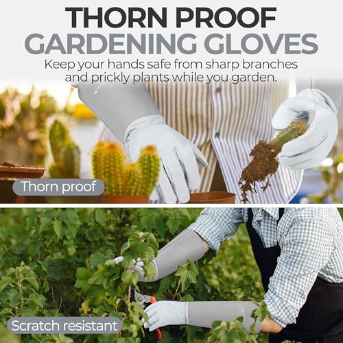 Long Gardening Gloves for Men & Women (Silver Gray / Large (Pack of 1))
