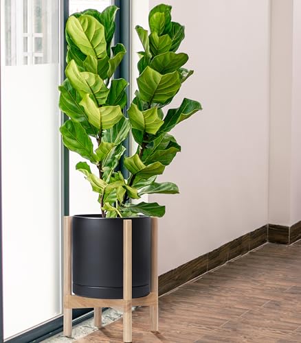 Ceramic Pot with Natural Wood Stand (12 Inch / Black Pot + Natural Stand)