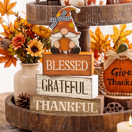 4 Pcs Fall Gnome Block Signs Thanksgiving Tiered Tray Decor (Blessed Gnome)