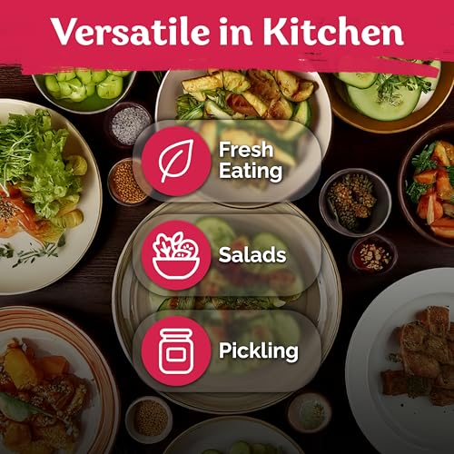 50 Muncher Cucumber Heirloom Vegetable Seeds for Planting