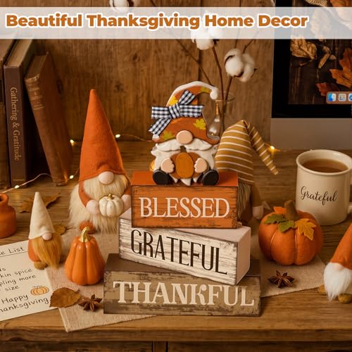 4 Pcs Fall Gnome Block Signs Thanksgiving Tiered Tray Decor (Blessed Gnome)