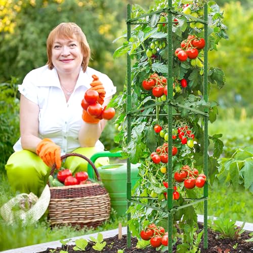 4 Pack Tomato Cage for Garden (Green 4 Pack / 48 Inches)