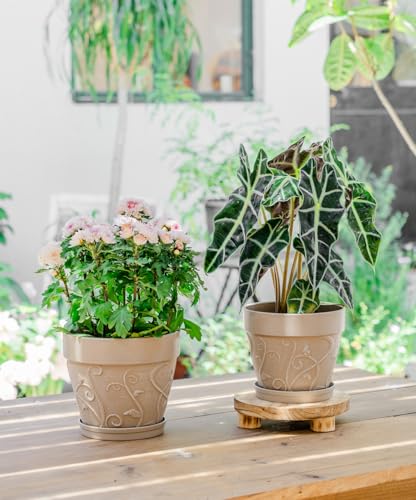 Plant Pots Indoor with Drainage & Saucer (Undecorated Pottery Color / 7/8 inch)
