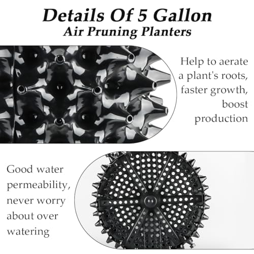 Air Pruning Planters 5 Gallon 6 (5 Gallon-6P)
