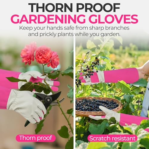 Rose Pruning Gloves for Men Women (Pink / Small (Pack of 1))