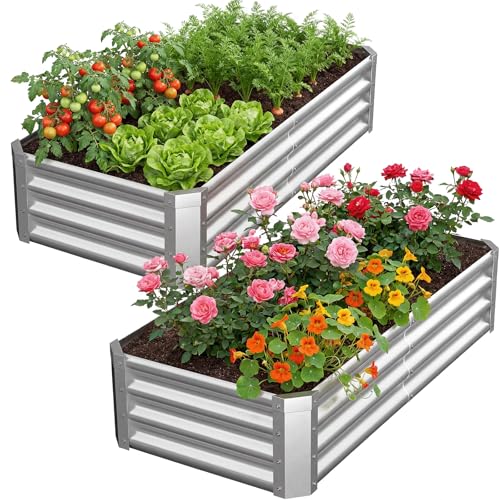 2Packs 4x2x1 FT Galvanized Raised Garden Beds Outdoor (Galvanized / 4×2×1 ft (2Packs))