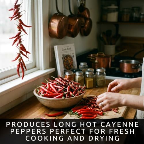 Red Cayenne Pepper Seeds for Planting (Red Cayenne)