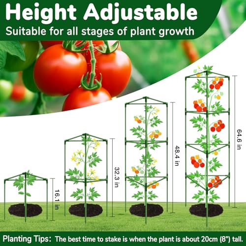 6 Pack 65 Inch Heavy Duty Tall Tomato Cages for Garden (65"-6 Pack)