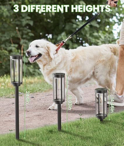Solar Pathway Lights