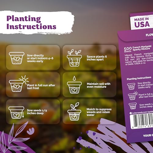 1 000 French Marigold Heirloom Flower Seeds for Planting